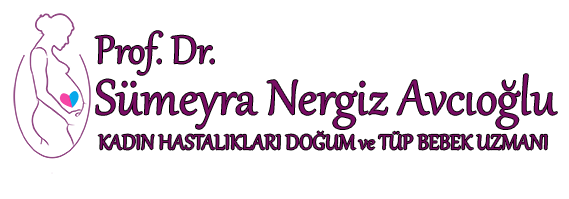 Sümeyra Nergiz Avcıoğlu