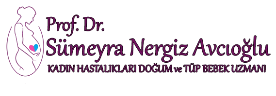 Prof. Dr. Sümeyra Nergiz Avcıoğlu